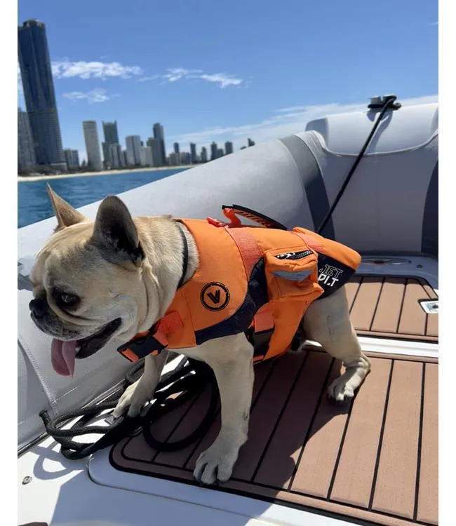 Jetpilot Venture Dog Life Vest