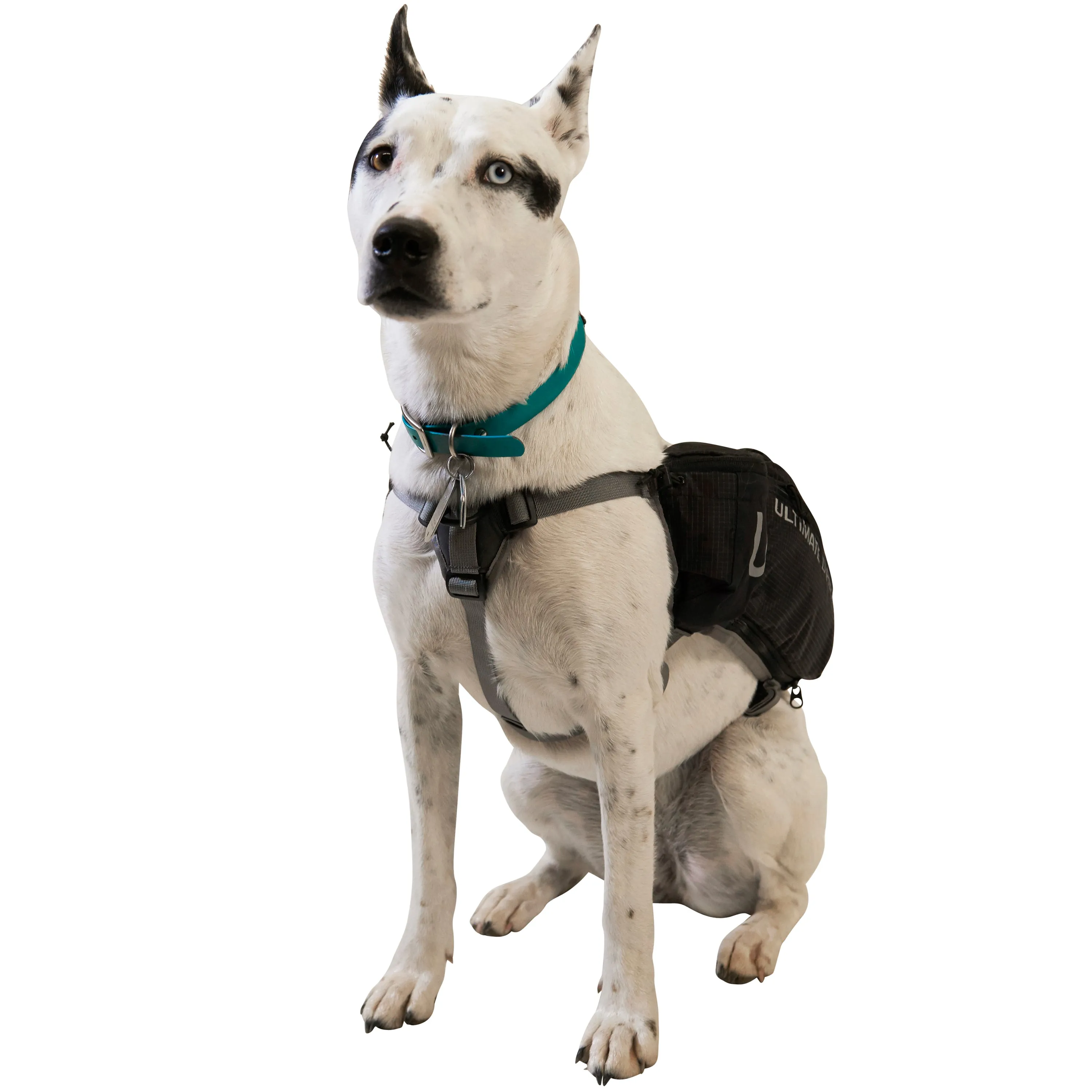 Ultimate Direction Dog Vest