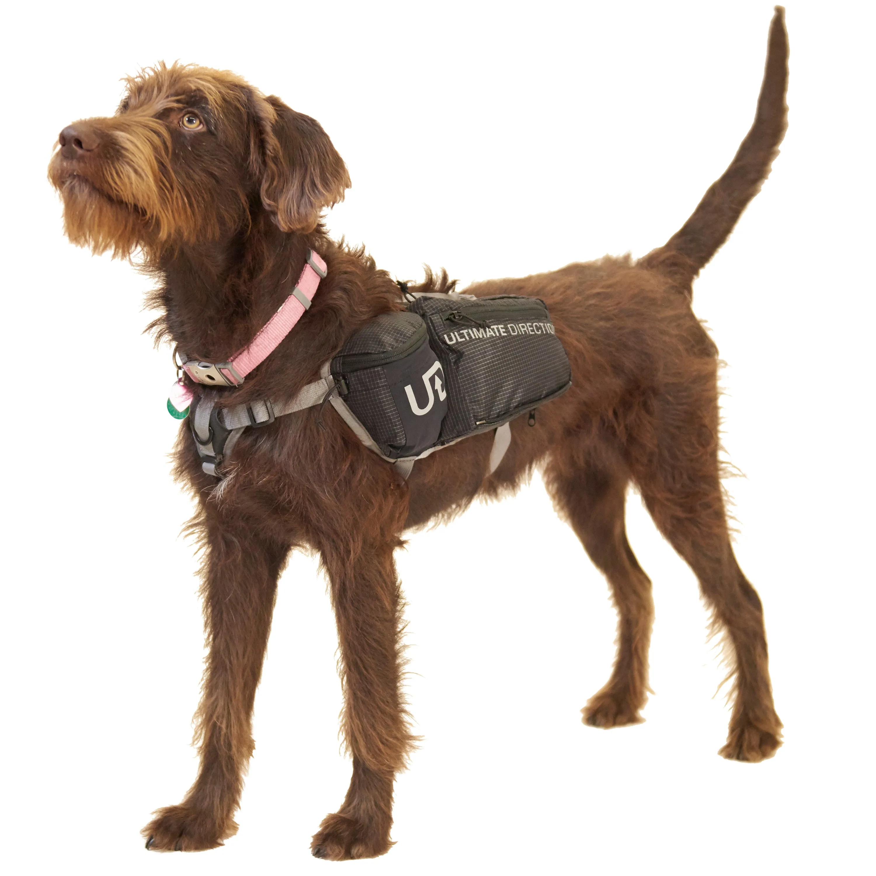 Ultimate Direction Dog Vest