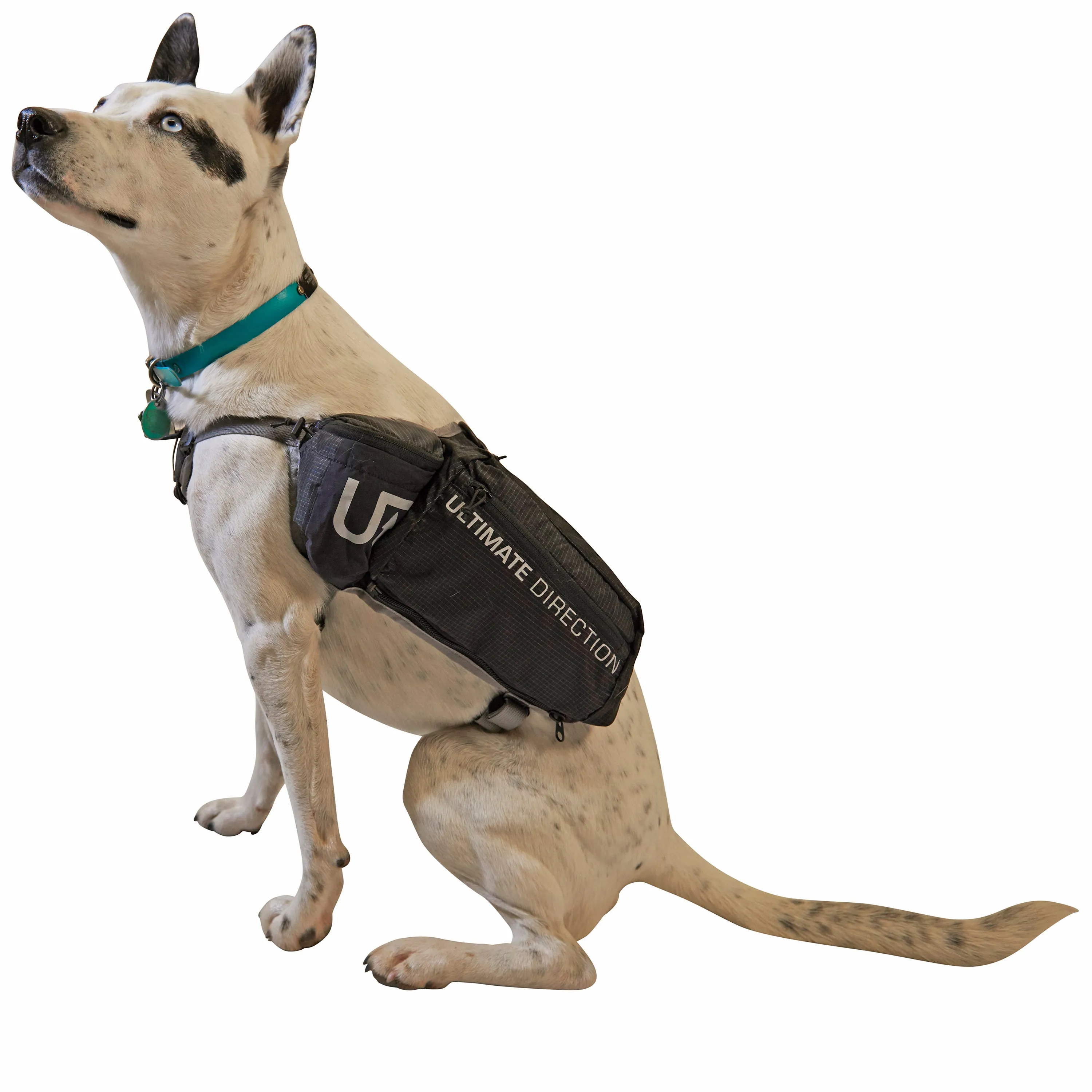 Ultimate Direction Dog Vest